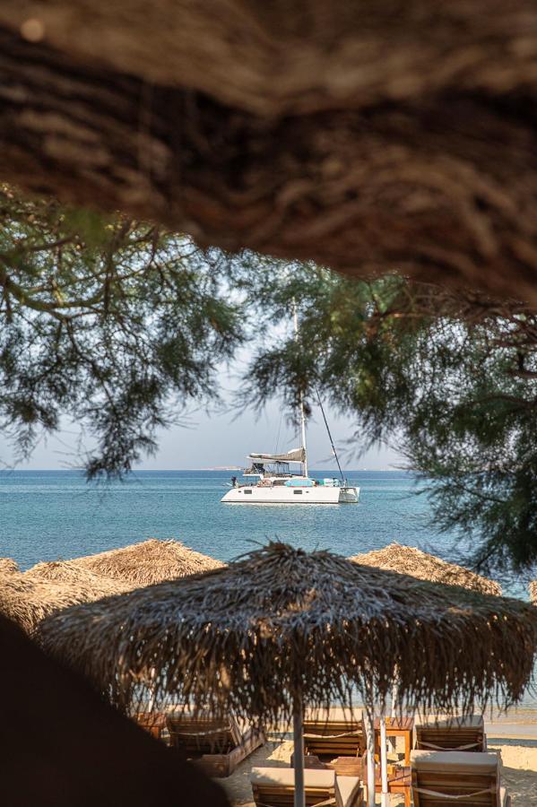 Castello Studios Agia Anna  Exteriér fotografie